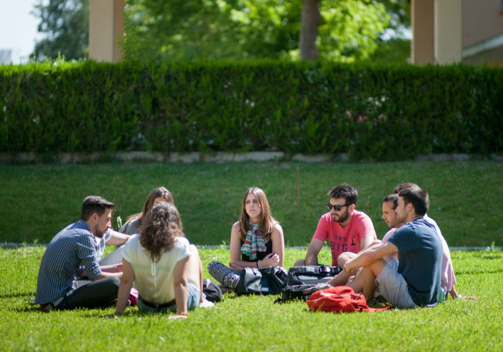 A group of students seated on the grass, conversing with each other.